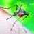 IIT Roorkee Researchers identify molecule against Chikungunya virus