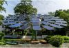 दुनिया में सबसे बड़ा ‘सौर-वृक्ष’ भारत में निर्मित, किसानों को मिलेगी बिजली