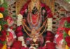 श्रीफलौदी माता मंदिर पर बसंत महोत्सव की गूंज