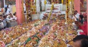 श्री फलौदी माता मंदिर पर अन्नकूट दर्शन करने पहुंचे 10 हजार श्रद्धालु