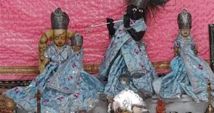 हेमड़ा के मुरली मनोहर मंदिर में प्राण प्रतिष्ठा महोत्सव सम्पन्न