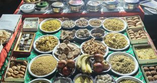 स्काईपार्क में अन्नकूट महोत्सव मनाया