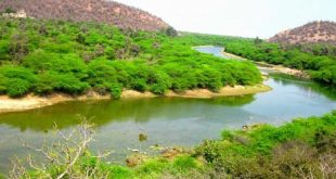 मुकुंदरा हिल्स टाइगर रिजर्व में पर्यटन सफारी की अनुमति मिली